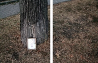https://www.annazvyagintseva.com:443/ua/files/gimgs/th-32_62_img4483small.jpg
