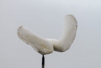 https://www.annazvyagintseva.com:443/ua/files/gimgs/th-48_web20.jpg
