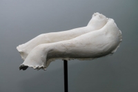 https://www.annazvyagintseva.com:443/ua/files/gimgs/th-48_web5.jpg